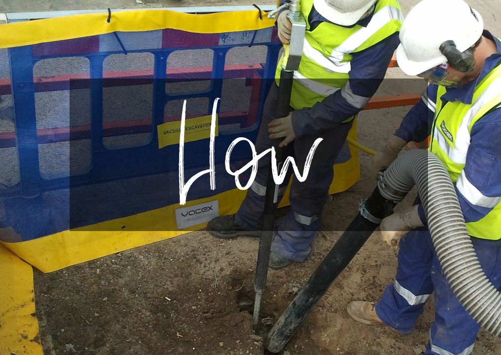 How does VacEx work?